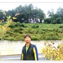 금산공판장 이미지