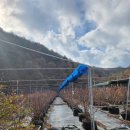 큰골농장 이미지