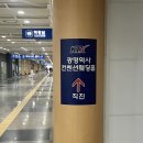 모아정보 | 광명웨딩홀 뷔페 시식 후기 + 리뉴얼 정보 모아봤음