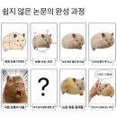 결승아니고반환점 (끝)