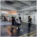 퍼블릭 복싱 이미지