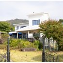 컴투펫 위탁보호센터 이미지