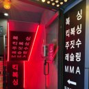 카프킥복싱 MMA 이미지