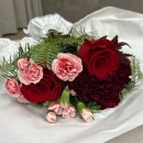 12월 청춘파티 | [WECA 청춘구독] 25년 12월의 크리스마스 꽃 - 장미, 카네이션, 류카덴드론, 더글라스