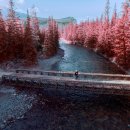 원어민 여행영어회화 이미지