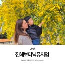 늘봄꽃조경 | 진해 보타닉뮤지엄 노란꽃 미모사 3월 창원 가족 나들이 꽃구경 가볼 만한 곳