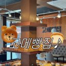주정차051 | 부산 해운대빵집 빵지순례맛집 해리단길 베이커리&#34;고메빵집&#34;