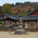 동화사 Daum카페
