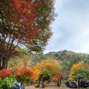 샤라의정원 펜션 이미지