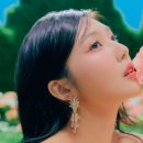 조이블룸 이미지
