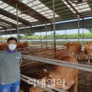 형환축산 이데일리
