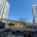 데시앙 대표 공인중개사사무소 | [3월 4주차] 경기도 과천시 갈현동 과천르센토데시앙단지정보, 시세, 실거래가, 관리비 정보