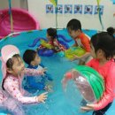 리틀하버드어린이집 이미지