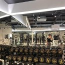 Holy fit(홀리핏) 이미지