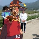 와가 이미지
