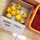 갈렙농장 이미지