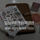 사진, 세상을 담다 국경의 사람들 | [육아준비] 소중한 순간을 담다 🧡 일상유희_초음파사진 앨범 다이어리 솔직 후기!