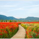 오성숯불갈비 이미지