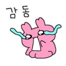 광명페인트 이미지