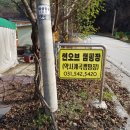 썬오브캠핑장 | 포천 글램핑장 추천 : 썬오브 캠핑장 다녀온 솔직후기