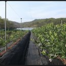 라원농장 이미지