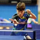 탁구 하수의 라켓 후기🏓: TSP 스왓 카본 이미지