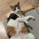 설렘 이미지