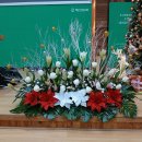 백운교회 이미지