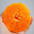 온새미영농조합법인 이미지