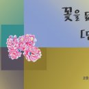 담:따 이미지