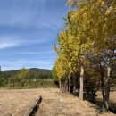 두드림정신과의원 이미지