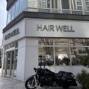 효자 동물병원 | 전주 신시가지 미용실 허쉬레이어드펌 후기 [헤어웰 효자점]