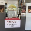 밀양초지일관 이미지