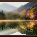 세량2 Daum카페