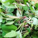 고성관광민박 이미지