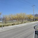 두꺼비농장 이미지