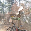 이동백 소리길 이미지