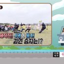 피그캠
