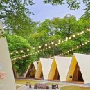 고기 팩토리 이미지