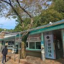 마이담 | 고대하던 진안 여행 마이산에 홀렸어요.
