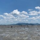 군헌어촌체험휴양마을 이미지