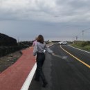 동복환해장성 이미지