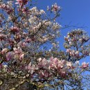 첼시 | 찐 첼시팬의 런던 첼시 구장 투어 가격 및 후기