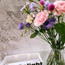 보석당안경 | 가벼운 가죽 안경케이스 추천 메이딜라이트 슬림 안경 선글라스 케이스