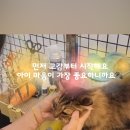 소중하냥 이미지