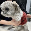 윤슬동물병원 이미지