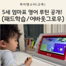 오전동 27 | 5세 엄마표 영어 이렇게 시작했어요! (어바웃 그로우 상담 + 도요새 잉글리시 후기)