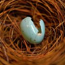 소리영어 상상영어 이미지