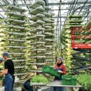 비젼농장 이미지