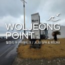 아쿠아뷰티크 | [제주 월정리] "아쿠아뷰티크" 풀빌라 가성비 후기